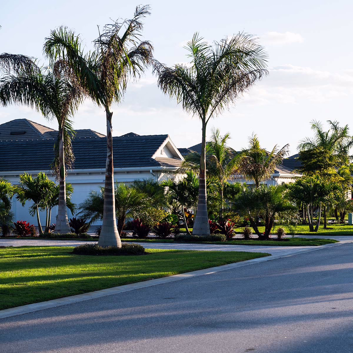 Professional Tenant Placement Services in Jacksonville